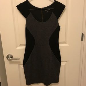 Express • Fitted Dress